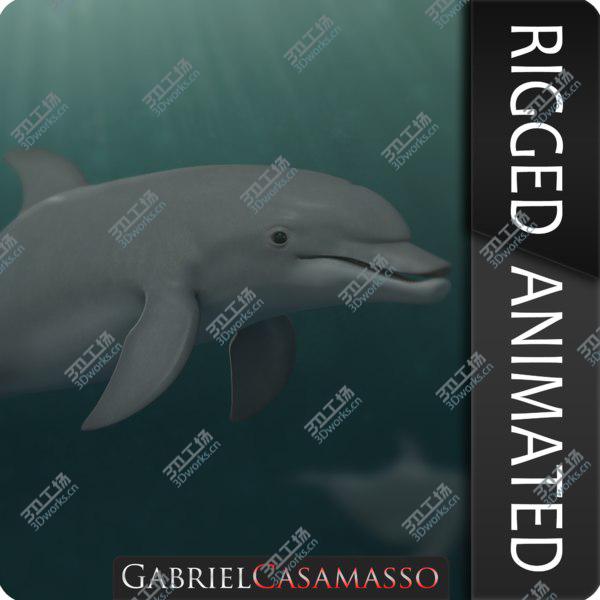 images/goods_img/20210312/Tursiops truncatus 3D/3.jpg
